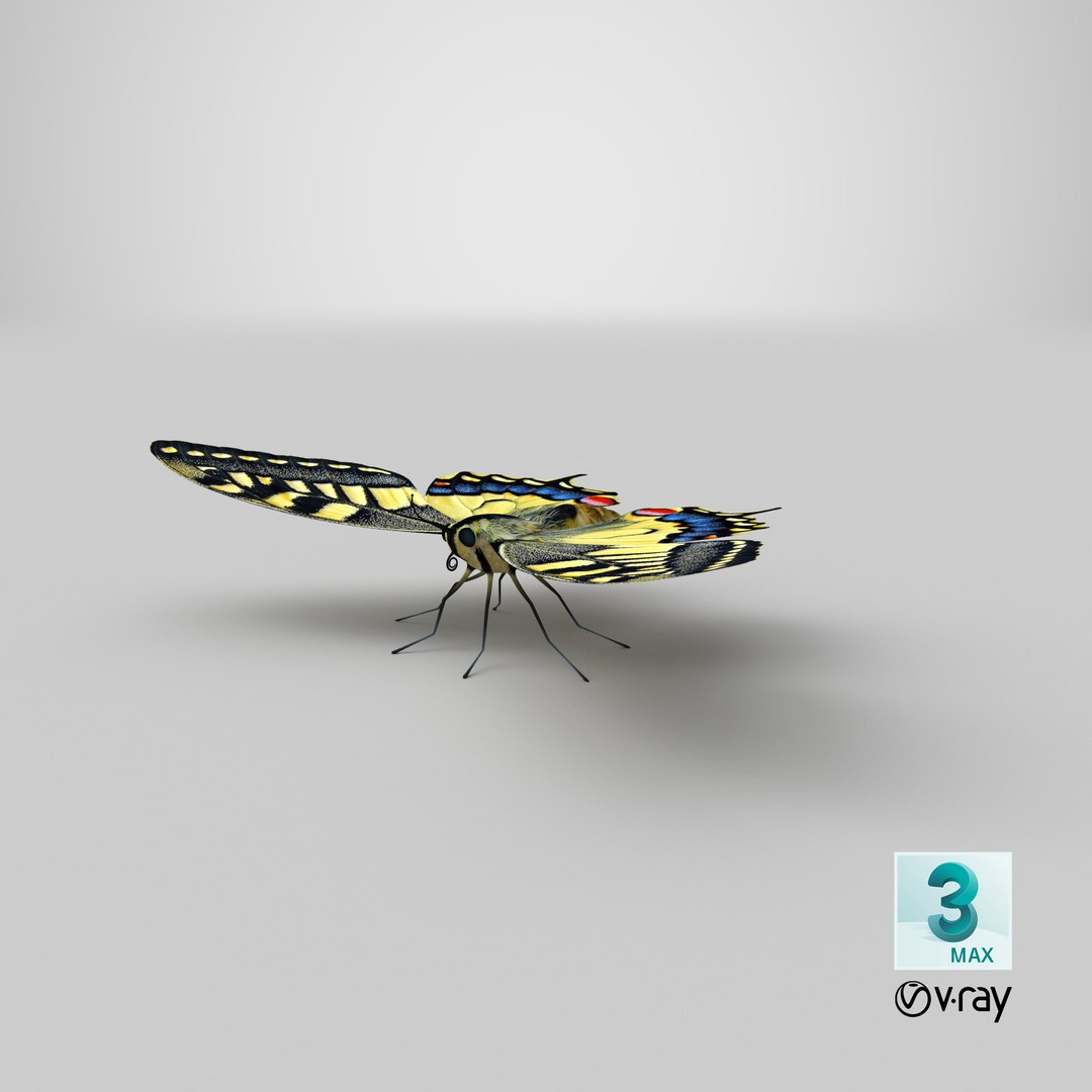 3D realistic butterfly papilio machaon https://p.turbosquid.com/ts-thumb/lZ/V49Bws/EHMxAgw1/stemcell_max_vray_render/png/1543594473/1920x1080/fit_q87/71105dca5d828afe09cf0caeab9d20545ad95e84/stemcell_max_vray_render.jpg