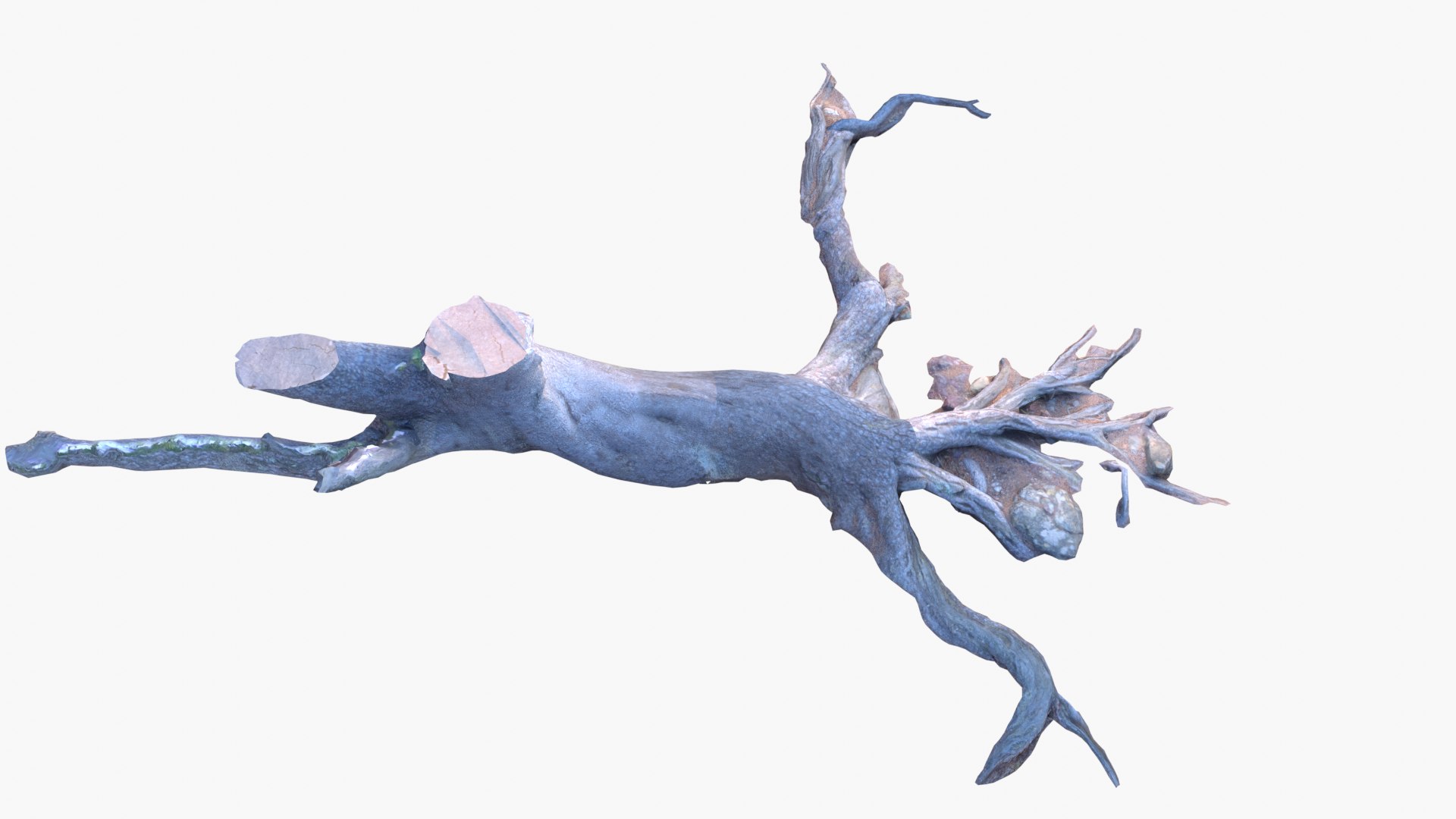 Lowpoly 3d Scanned Pine Trunks - Pinus Pinea and Pinaster model https://p.turbosquid.com/ts-thumb/lZ/VEnm3r/Vz/stumps_screenshot151/png/1635175011/1920x1080/fit_q87/790c6553c2ecb45b1d83f7fc6af82feab9d8f065/stumps_screenshot151.jpg