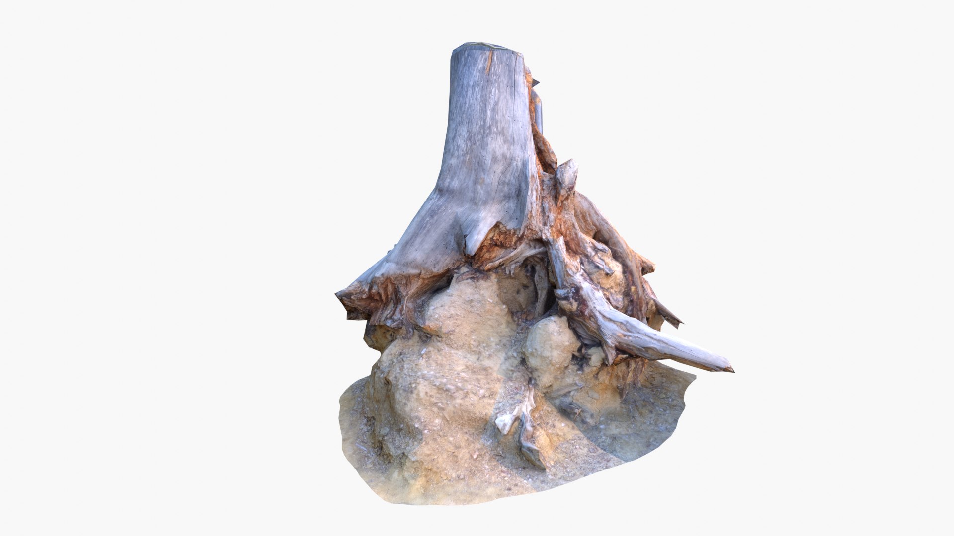 Lowpoly 3d Scanned Pine Trunks - Pinus Pinea and Pinaster model https://p.turbosquid.com/ts-thumb/lZ/VEnm3r/WU/stumps_screenshot161/png/1635175011/1920x1080/fit_q87/a8e784a40c73f1bb76541ae294dd4d8631698a66/stumps_screenshot161.jpg