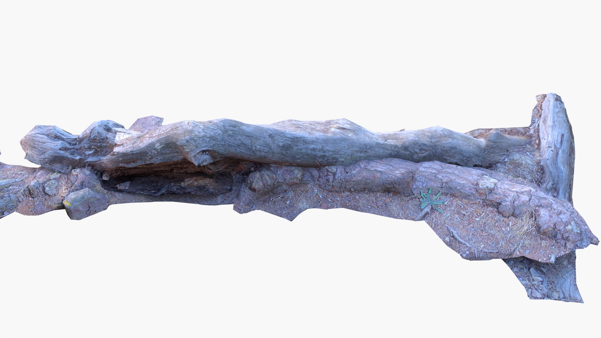 Lowpoly 3d Scanned Pine Trunks - Pinus Pinea and Pinaster model https://p.turbosquid.com/ts-thumb/lZ/VEnm3r/YO/stumps_screenshot021/png/1635175006/1920x1080/fit_q87/97b5ff5d73ba91d4aa14e5702f04388ffa619d66/stumps_screenshot021.jpg