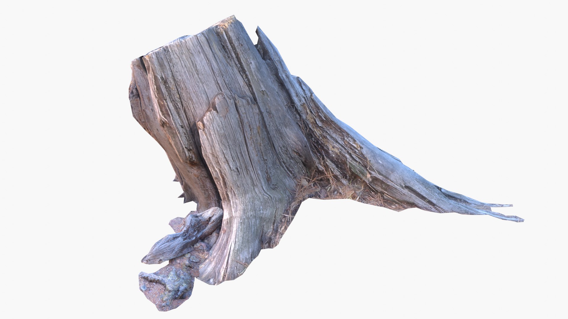 Lowpoly 3d Scanned Pine Trunks - Pinus Pinea and Pinaster model https://p.turbosquid.com/ts-thumb/lZ/VEnm3r/ZN/stumps_screenshot051/png/1635175015/1920x1080/fit_q87/ed97319308a2df3ac1e038ea410ebf35a16ba07a/stumps_screenshot051.jpg