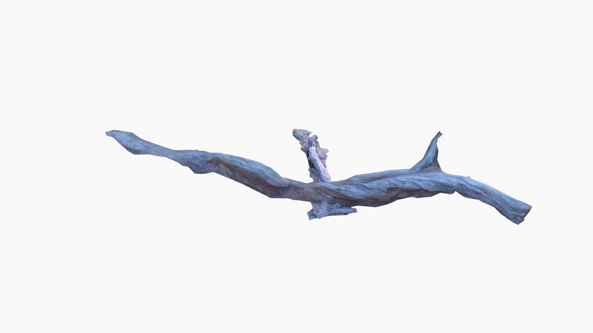 Lowpoly 3d Scanned Pine Trunks - Pinus Pinea and Pinaster model https://p.turbosquid.com/ts-thumb/lZ/VEnm3r/e7/stumps_screenshot031/png/1635175017/1920x1080/fit_q87/76d22df7750f95b9d5a7cfecc7b2757dea4a54c2/stumps_screenshot031.jpg