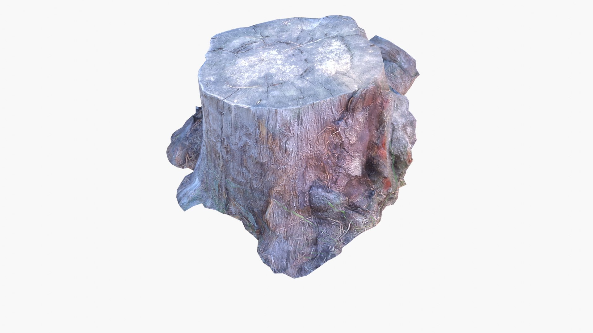 Lowpoly 3d Scanned Pine Trunks - Pinus Pinea and Pinaster model https://p.turbosquid.com/ts-thumb/lZ/VEnm3r/qG/stumps_screenshot41/png/1635175014/1920x1080/fit_q87/a5b30474eb39dce407de6d196263ce0307f6a065/stumps_screenshot41.jpg