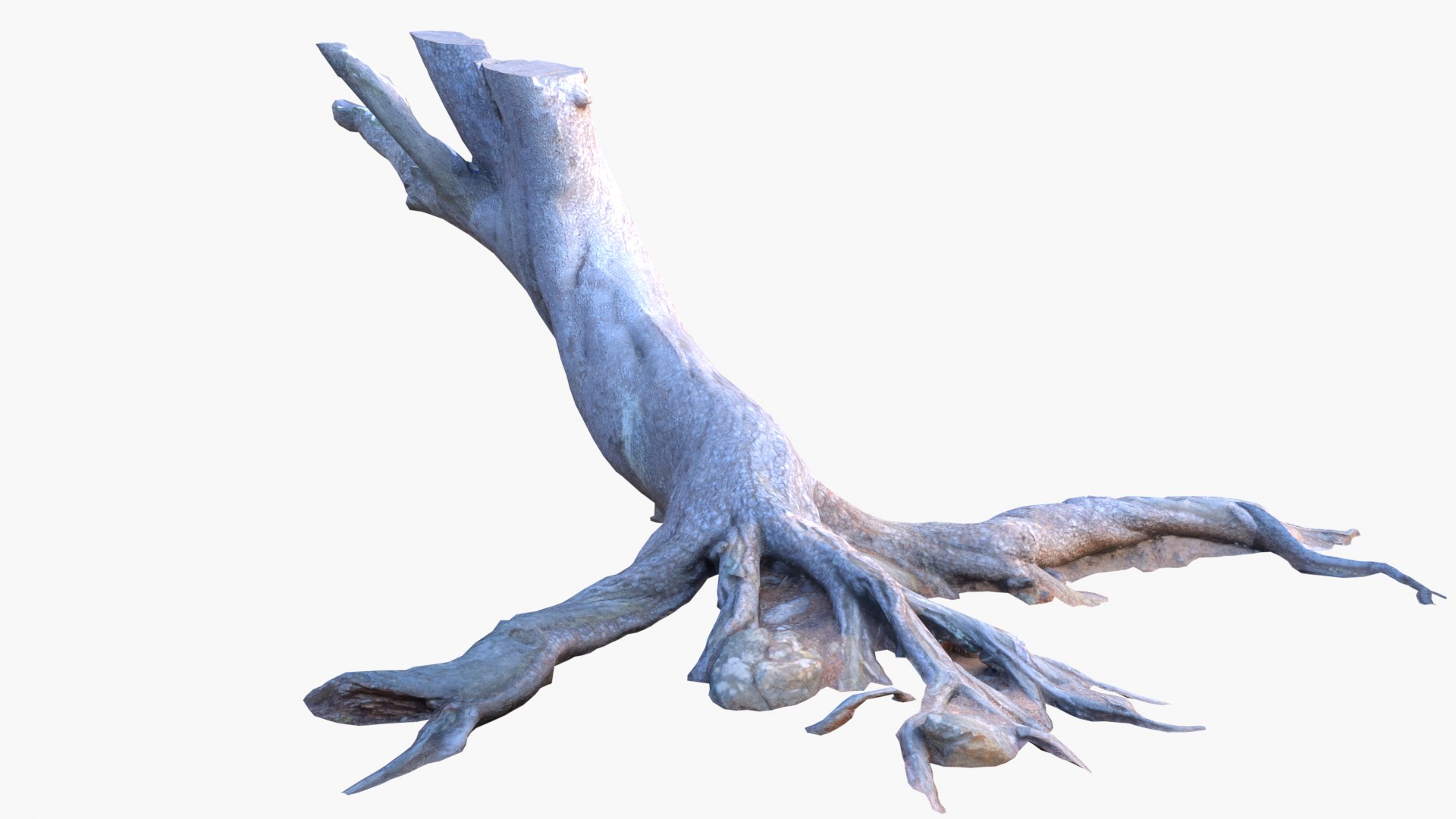 Lowpoly 3d Scanned Pine Trunks - Pinus Pinea and Pinaster model https://p.turbosquid.com/ts-thumb/lZ/VEnm3r/rM/stumps_screenshot131/png/1635175009/1920x1080/fit_q87/8ed40ca448eec95ff276996b2bc5608d3492a8c1/stumps_screenshot131.jpg