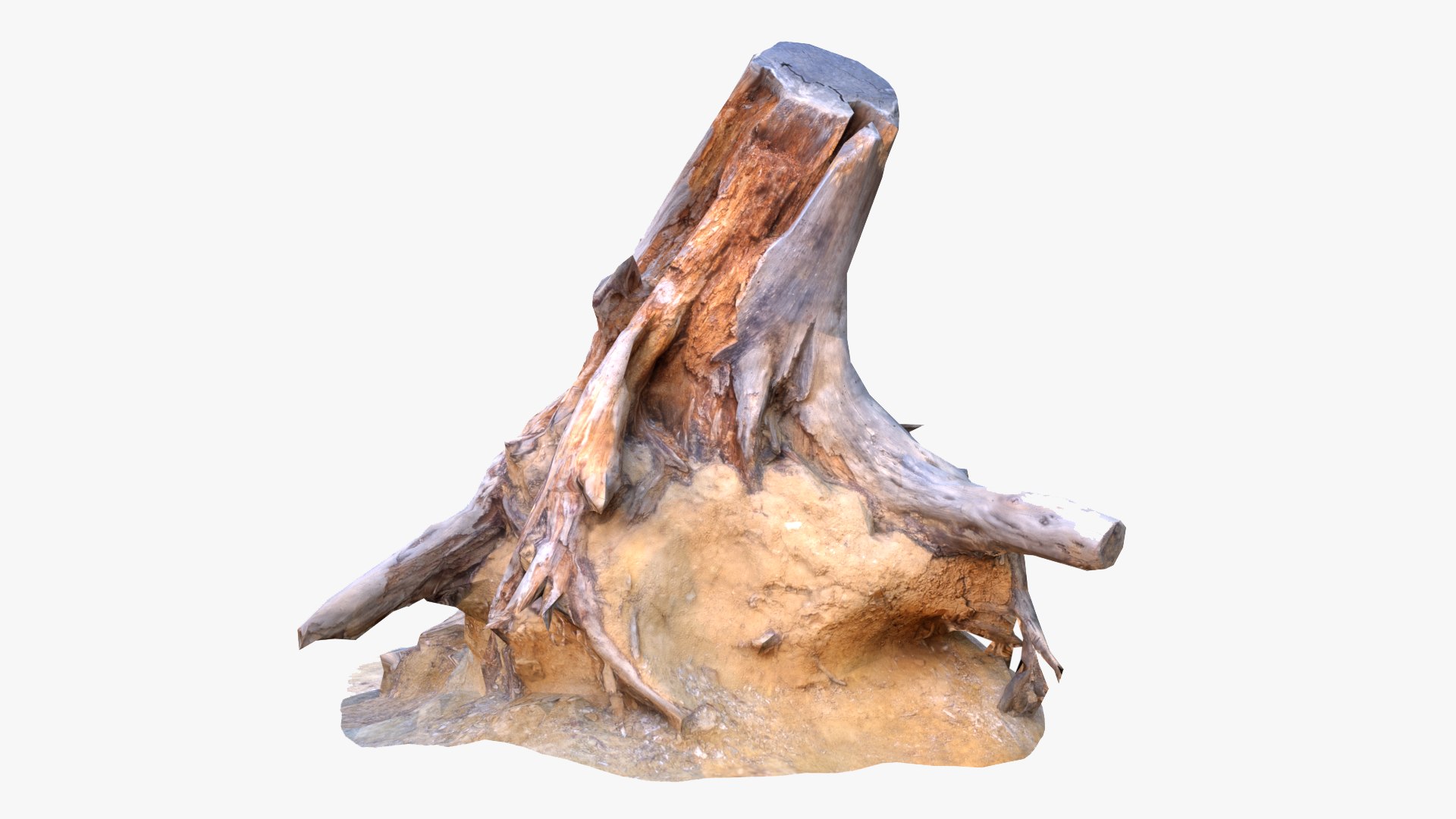 Lowpoly 3d Scanned Pine Trunks - Pinus Pinea and Pinaster model https://p.turbosquid.com/ts-thumb/lZ/VEnm3r/sr/stumps_preview21/png/1635175019/1920x1080/fit_q87/689a486a5ea962623ecbceeedc36d8bb71b3a413/stumps_preview21.jpg