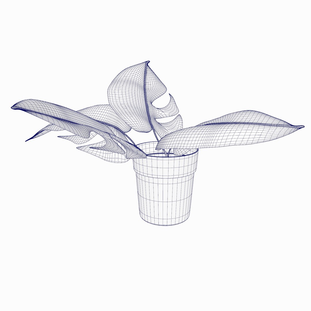 3D model Indoor Plant https://p.turbosquid.com/ts-thumb/lZ/igeRwd/7H/indoorplantwire01/jpg/1738465699/1920x1080/fit_q87/cf19db53f07830f0c19ecd822a5c1ec213e5a56a/indoorplantwire01.jpg