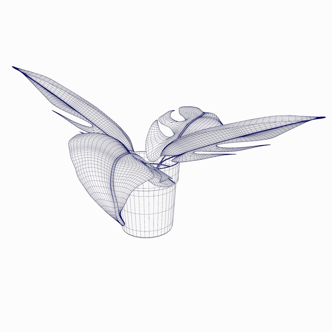 3D model Indoor Plant https://p.turbosquid.com/ts-thumb/lZ/igeRwd/vP/indoorplantwire02/jpg/1738465699/1920x1080/fit_q87/209b92eff4067e703980a745d23b9190525e7ee7/indoorplantwire02.jpg