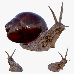 3D shell