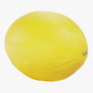 3D Sweet Yellow Melon
