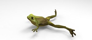 frog 3D model