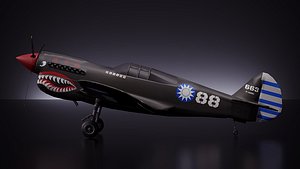 Curtis P 40 Airplane