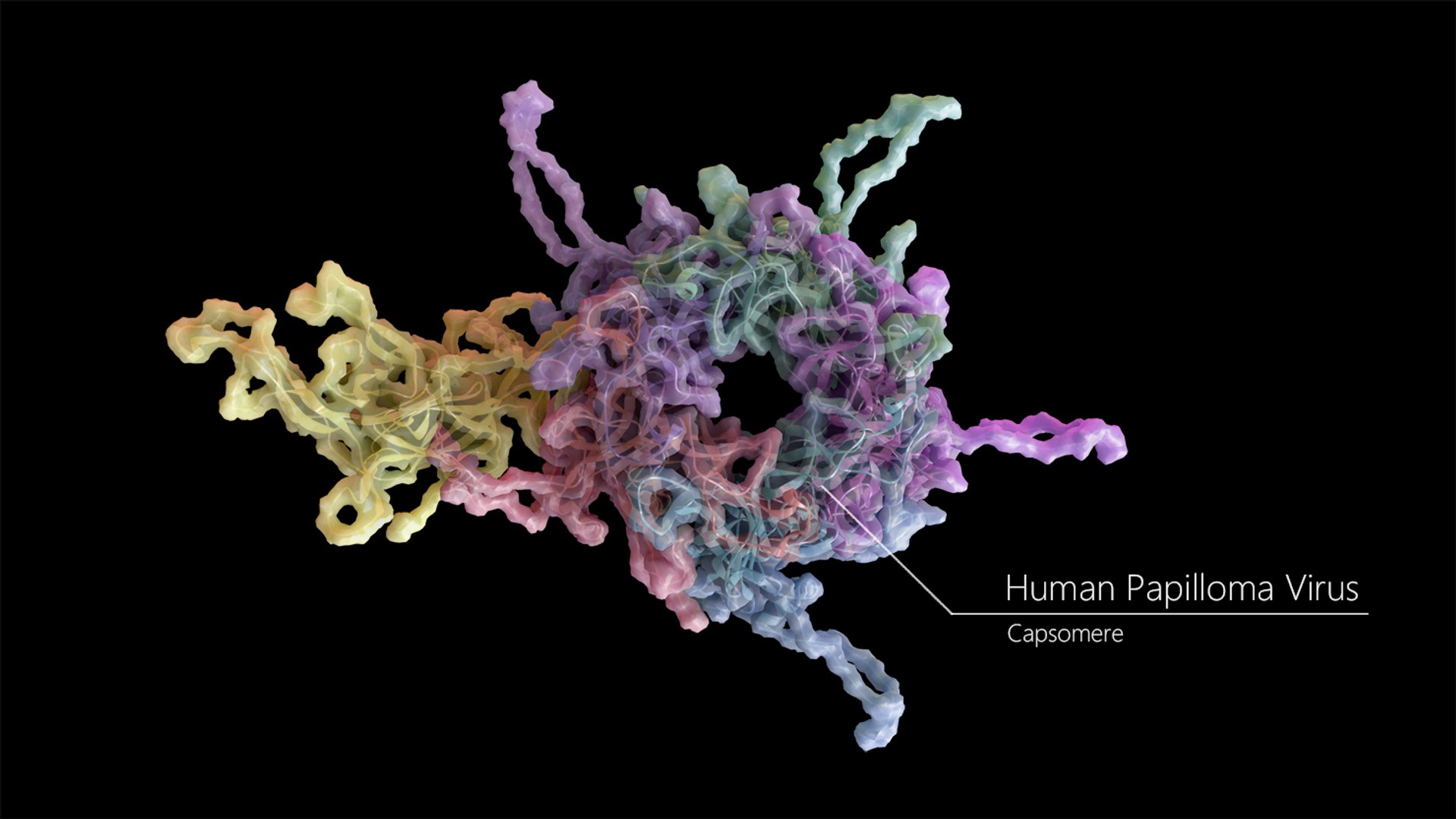 Scientifically Accurate Structure Human 3D Model - TurboSquid 1354475