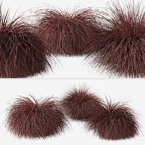 3D Set of Carex comans or New Zealand Hair Sedge Plants model