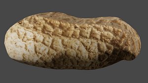 Peanut Obj and Blend 3D model