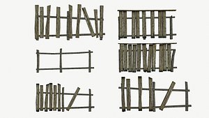 The old fence