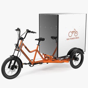 Rad Power Bike RadBurro with Cargo Box model