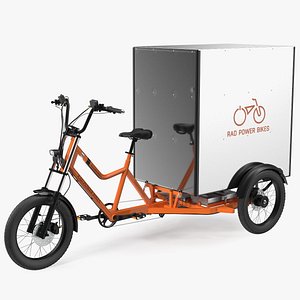 Rad Power Bike RadBurro with Cargo Box