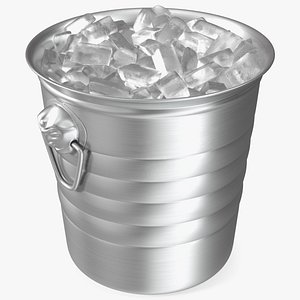 Ice Bucket model