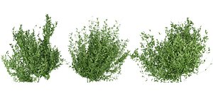 3D model Collection plant vol 124 - blender