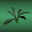 plant small ornamental 3D model