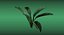 plant small ornamental 3D model