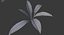 plant small ornamental 3D model