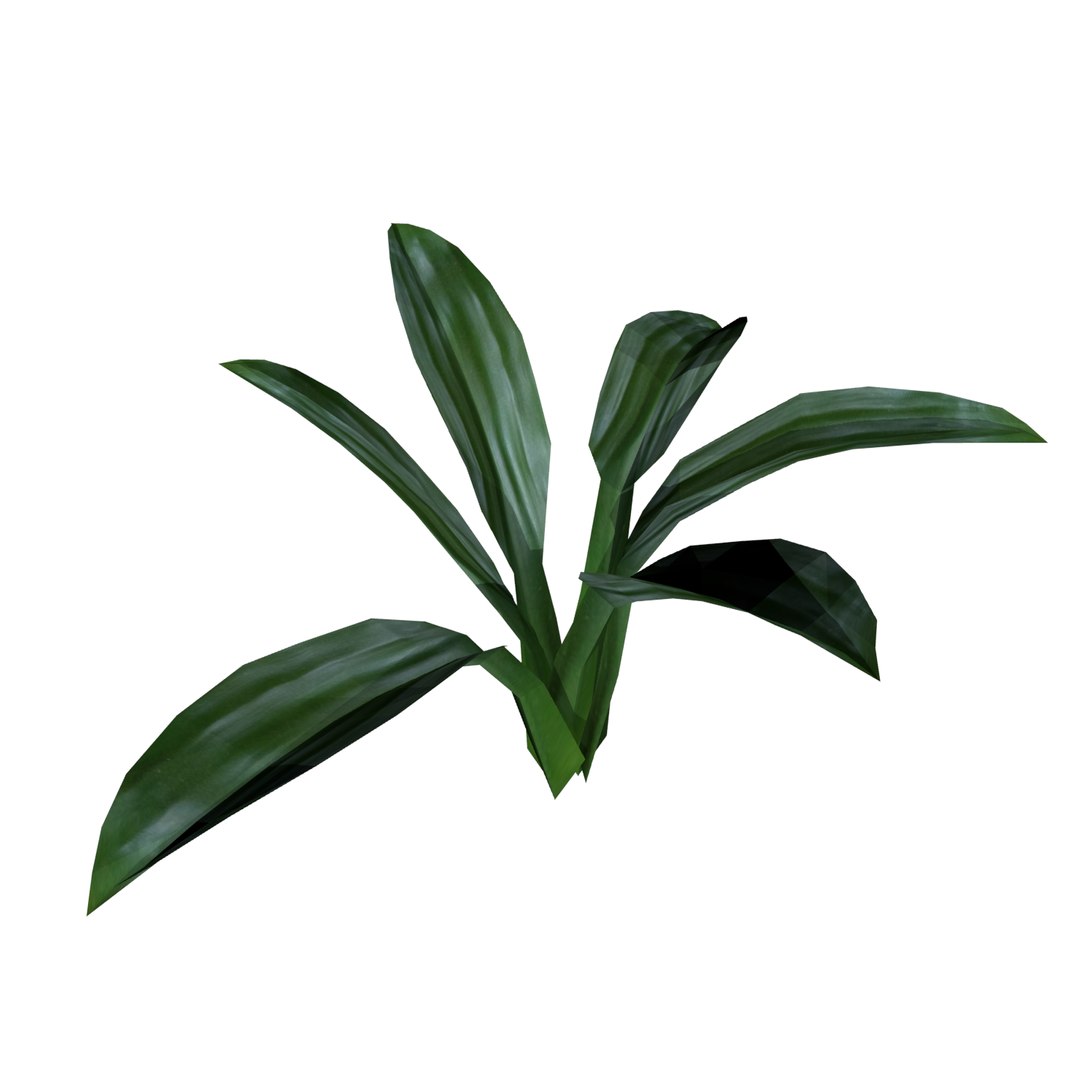 plant small ornamental 3D model https://p.turbosquid.com/ts-thumb/lb/161QwE/uelR6y8t/image0/png/1519460632/1920x1080/fit_q87/50197b9bb60821e66eee07601af359ab03a46cdd/image0.jpg