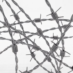 3d barb wire