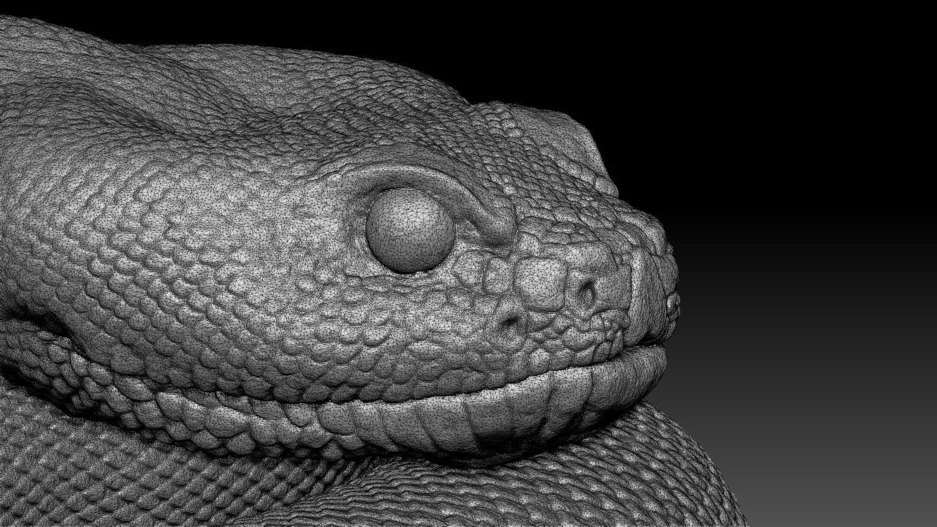 3D Rattlesnake Model - TurboSquid 1977661