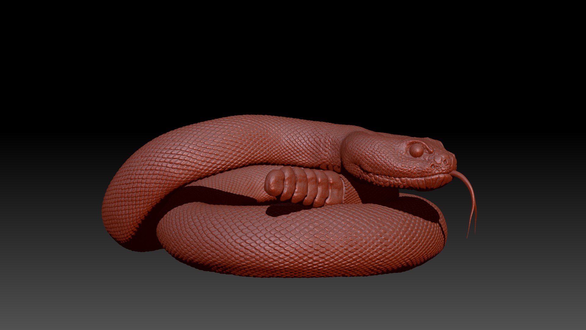 3D Rattlesnake Model - TurboSquid 1977661
