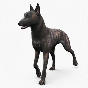 Dog Dutch Shepherd Rigged 3D model