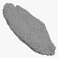 Dory Fish Steak for 3D Print