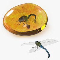Amber Fossil with Trapped Dragonfly