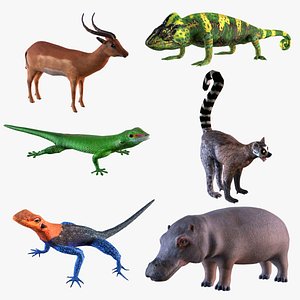 3D African animals model