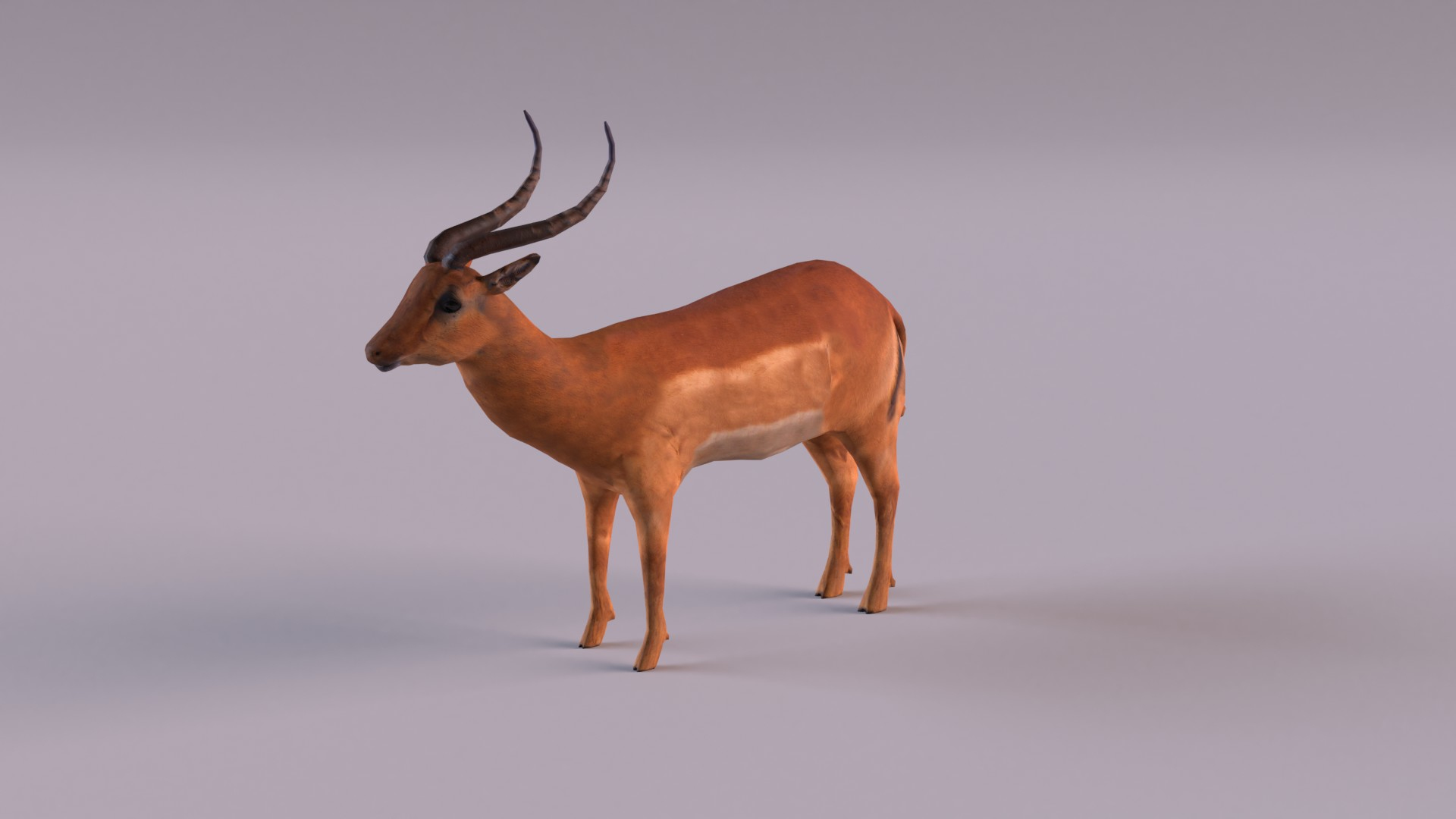 3D African animals model https://p.turbosquid.com/ts-thumb/lb/gaJhXL/RL/antelope/jpg/1627232386/1920x1080/turn_fit_q99/b0a10a350a595baaaf688d7747ad907480c70e8f/antelope-1.jpg