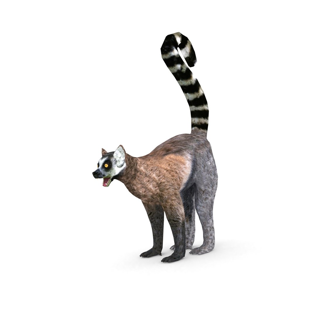 3D African animals model https://p.turbosquid.com/ts-thumb/lb/gaJhXL/WN/r10001/jpg/1651324649/1920x1080/fit_q87/9996b56d549646d805f37488f23b2c8fb7a7f724/r10001.jpg
