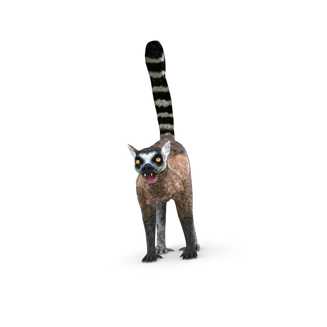 3D African animals model https://p.turbosquid.com/ts-thumb/lb/gaJhXL/yY/r10002/jpg/1581885266/1920x1080/fit_q87/7a4ca6110eff9498efe26e5a042b94a5c3309e67/r10002.jpg