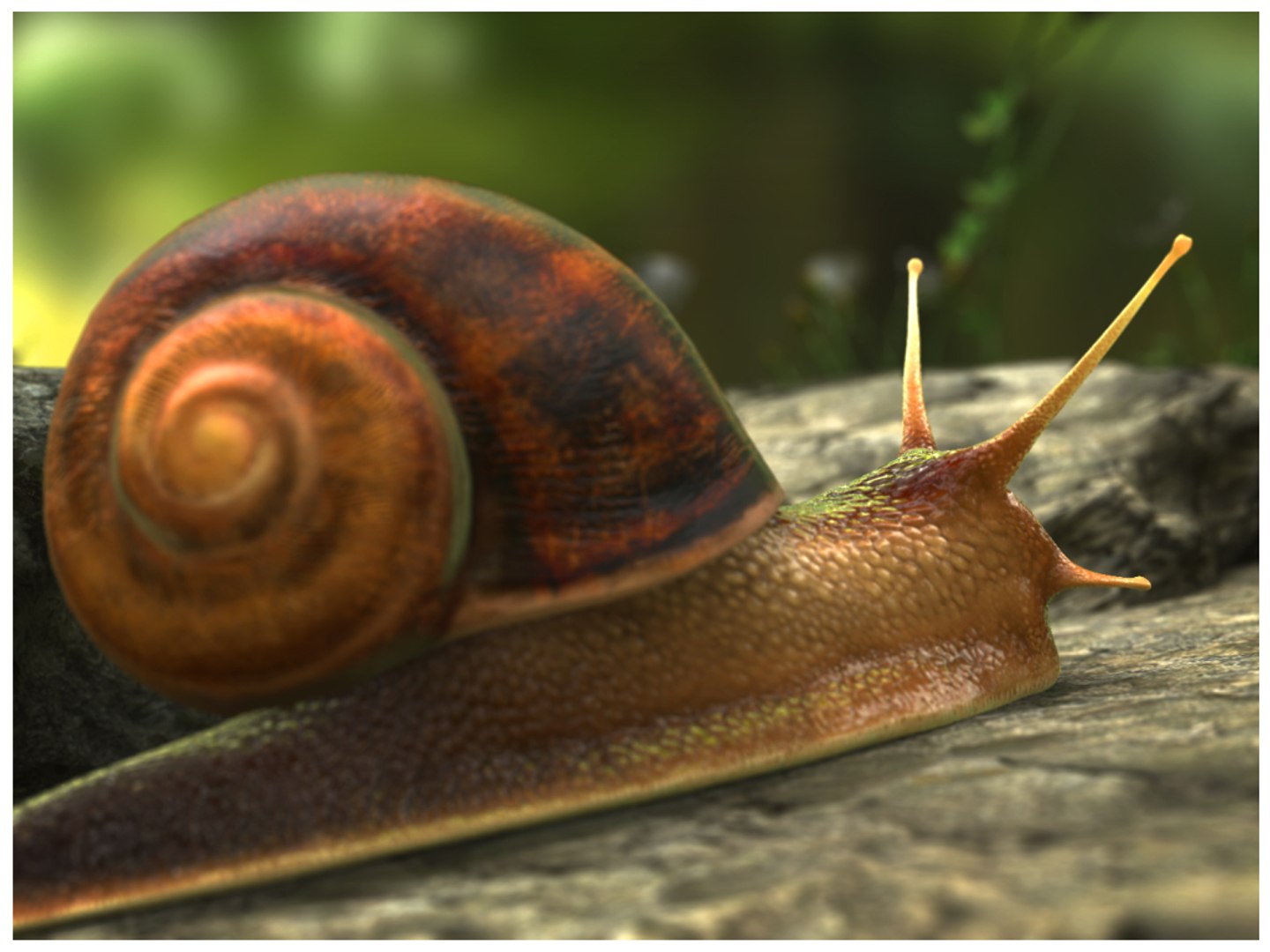 Snail Animation Crawling Model - TurboSquid 1192802