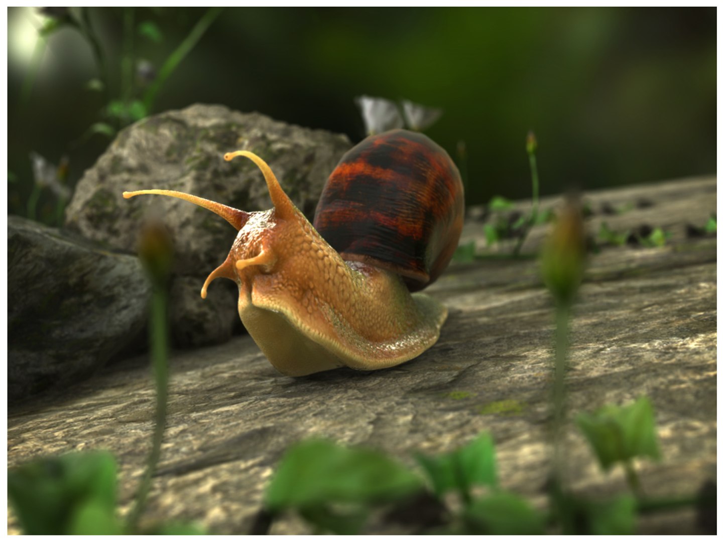 Snail Animation Crawling Model - TurboSquid 1192802