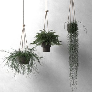 hang plant home model