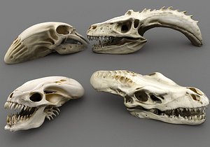 Predator Skull  Pack 3D