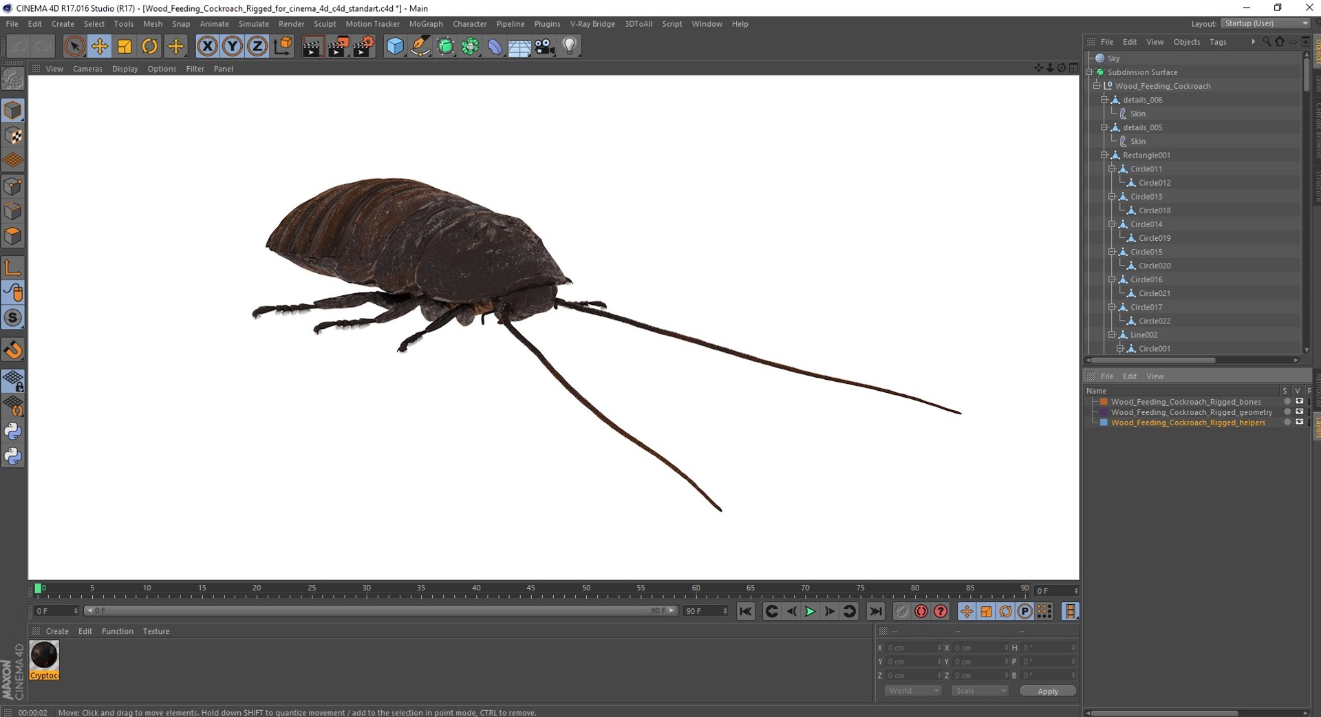 Wood Feeding Cockroach Rigged for Cinema 4D 3D TurboSquid 2174786