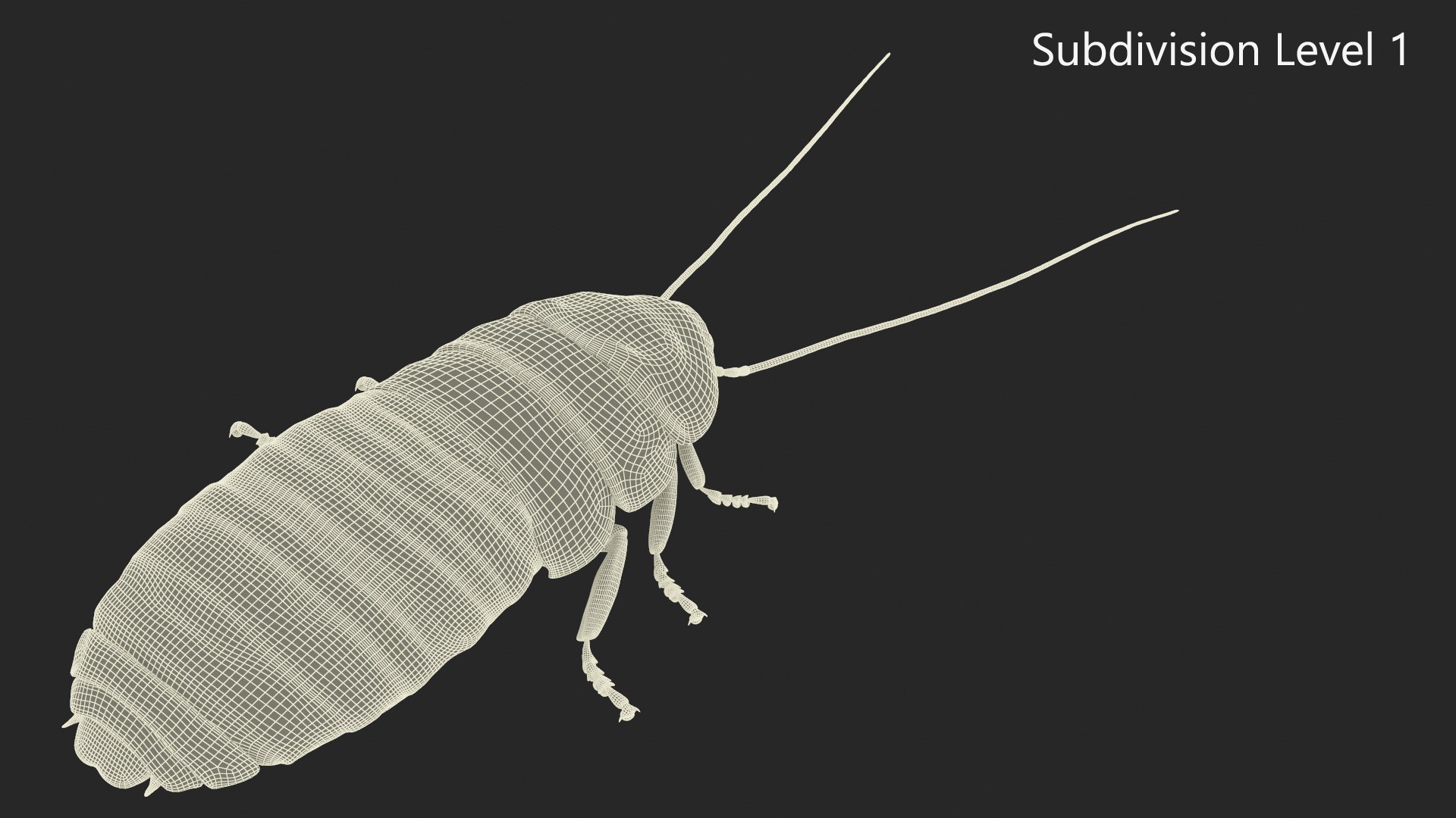 Wood Feeding Cockroach Rigged for Cinema 4D 3D https://p.turbosquid.com/ts-thumb/lc/5ORVxh/nl/woodfeedingcockroachriggedforcinema4d3dmodel013/jpg/1704827026/1920x1080/fit_q87/5939c47fe4e10facf4e2f163ce13834b9dae583e/woodfeedingcockroachriggedforcinema4d3dmodel013.jpg