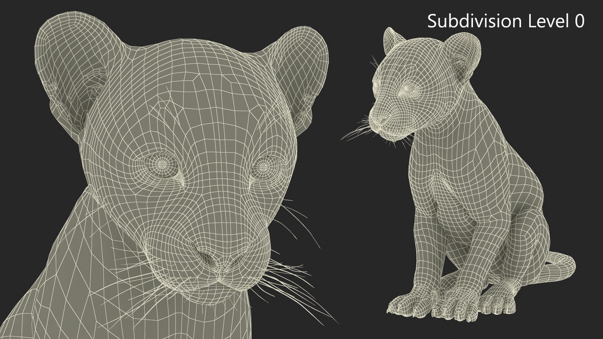 Black Leopard Cub Sitting Pose model https://p.turbosquid.com/ts-thumb/lc/IZEkwz/8m/black_leopard_cub_sitting_pose_011/jpg/1737304444/1920x1080/fit_q87/39dfa499aa9f7e656a0b84e7997a3823eea5f8bb/black_leopard_cub_sitting_pose_011.jpg
