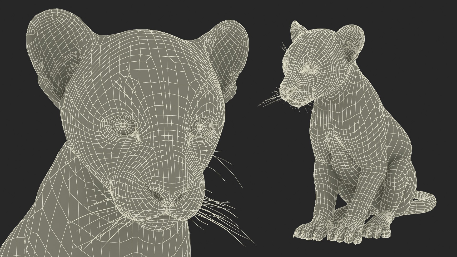 Black Leopard Cub Sitting Pose model https://p.turbosquid.com/ts-thumb/lc/IZEkwz/GJ/black_leopard_cub_sitting_pose_017/jpg/1737304450/1920x1080/fit_q87/edb6b08f6abdcb57ead649668f2ecb1713f1e939/black_leopard_cub_sitting_pose_017.jpg