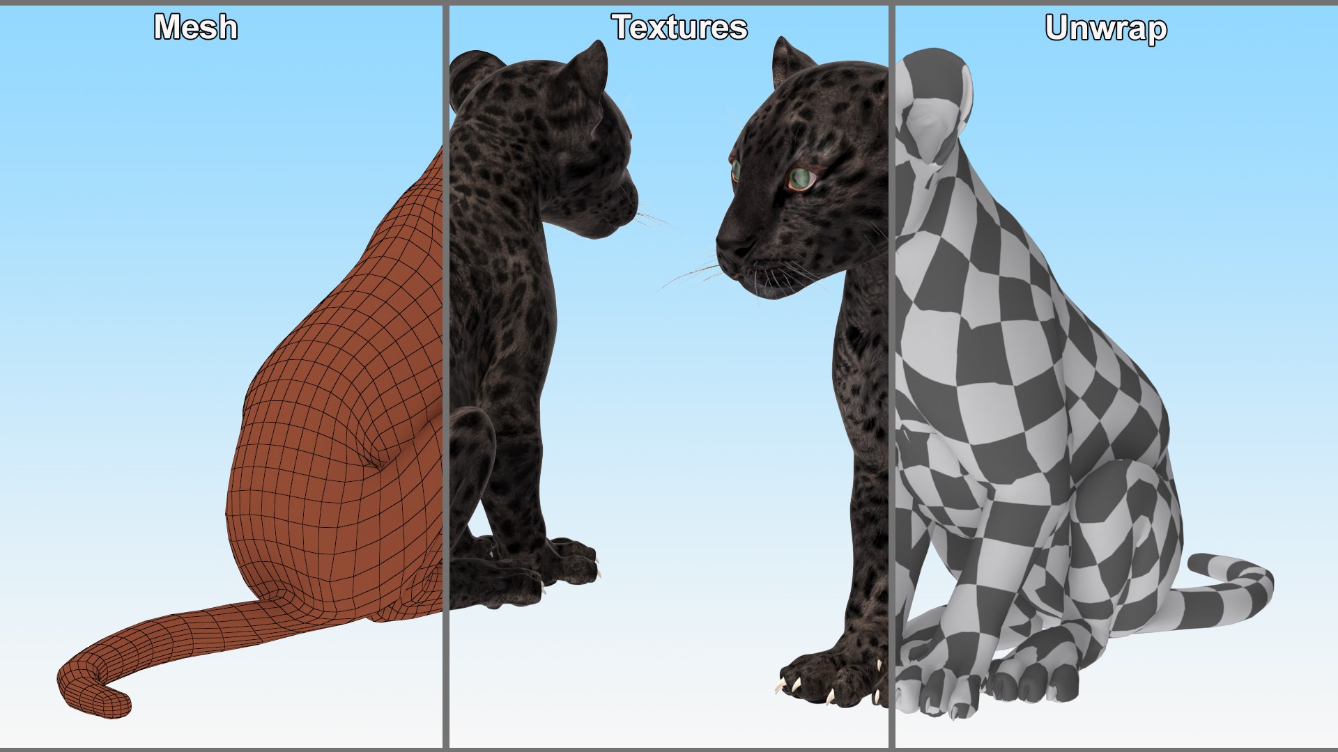 Black Leopard Cub Sitting Pose model https://p.turbosquid.com/ts-thumb/lc/IZEkwz/RU/black_leopard_cub_sitting_pose_010/jpg/1737304442/1920x1080/fit_q87/762f7072f1cfbe9fe7134c15e8a209a490155967/black_leopard_cub_sitting_pose_010.jpg