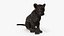 Black Leopard Cub Sitting Pose