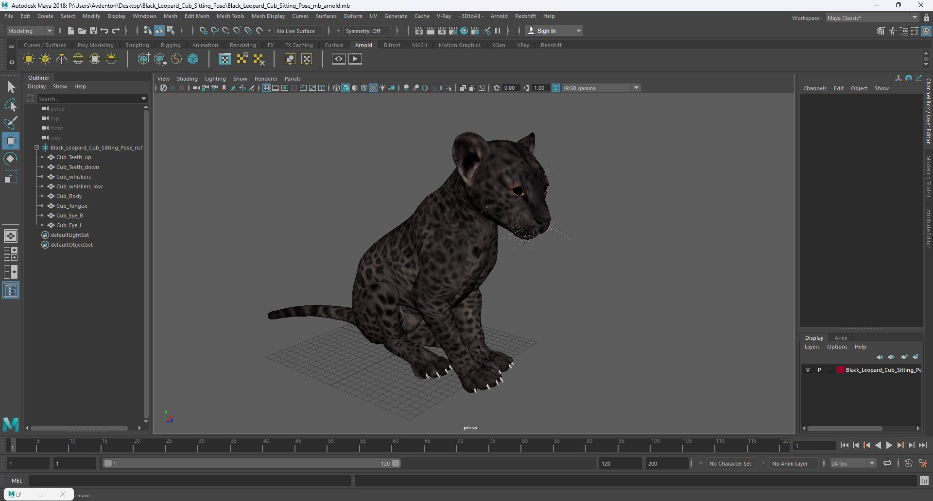 Black Leopard Cub Sitting Pose model https://p.turbosquid.com/ts-thumb/lc/IZEkwz/y0/black_leopard_cub_sitting_pose_1003/jpg/1737304452/1920x1080/fit_q87/c6dbf925d2f73eee6229ca692cab29c94bcaf0d0/black_leopard_cub_sitting_pose_1003.jpg