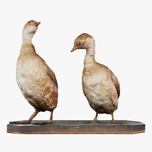 Ducklings Remastered