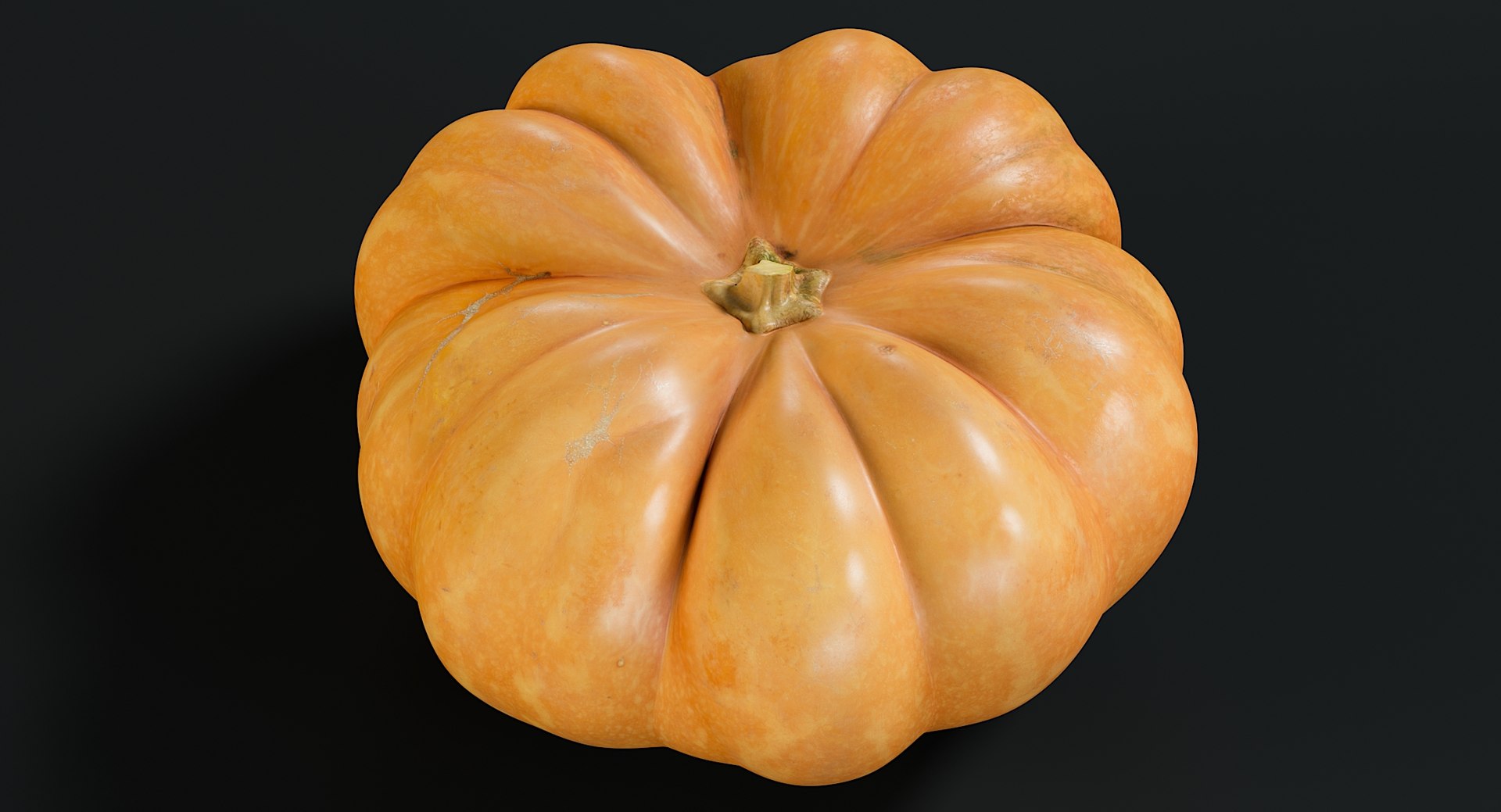 3D realistic pumpkin clean model https://p.turbosquid.com/ts-thumb/lc/kFmJGz/4yaFZYWQ/_view02/jpg/1569768822/1920x1080/fit_q87/b6d4e56430ae03007f9760f82e39d094ee879c6d/_view02.jpg